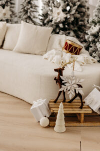 details of christmas pictures in phoenix photoshoot