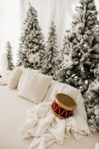 holiday pictures in phoenix